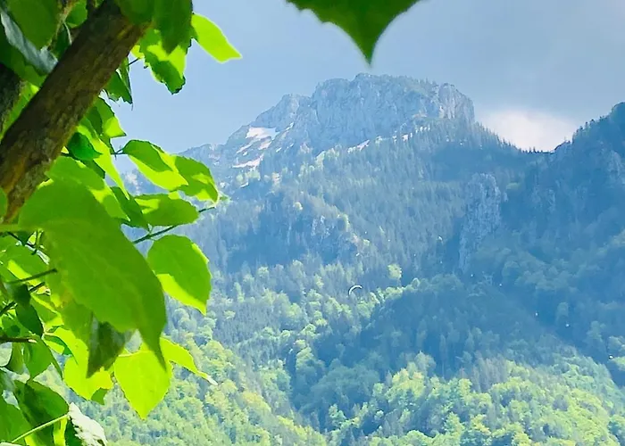 Bergblick Kampenwand 아파트 *